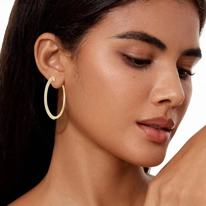 2mm Moissanite Hoop Earrings for Women 925 Silver 40mm Large Big Hoops Piercing Earrings Fashion Fine Jewelry Party Gifts