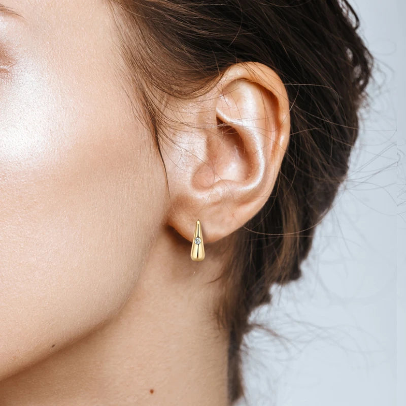 Chunky Hoops 2.5mm D Color Moissanite Thick Huggie Earring Gold Plated 925 Silver Piercing Earrings for Women Jewelry Gift